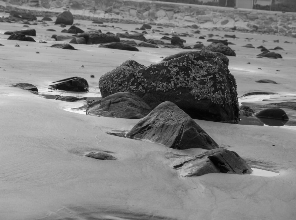 Intertidal Zone Rocks
