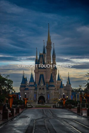 cinderella castle rare