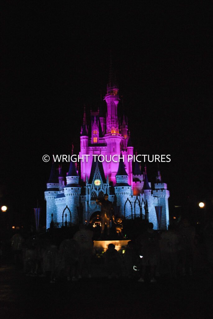 cinderella castle mnsshp 1 