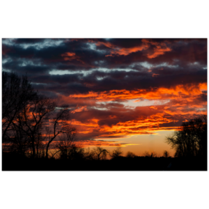 buynow 56006f49 68e9 49af be0a 973a6e27aa4f.png