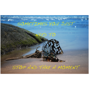 buynow b274892c b6b7 4fdb 8f4e f78e8ff9925c.png