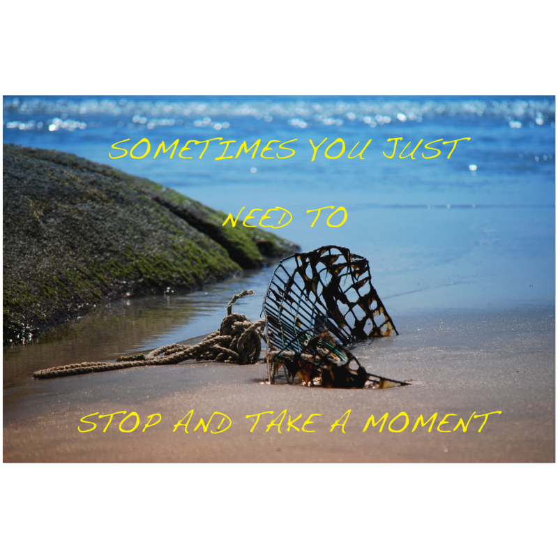 buynow b274892c b6b7 4fdb 8f4e f78e8ff9925c.png buynow b274892c b6b7 4fdb 8f4e f78e8ff9925c.png