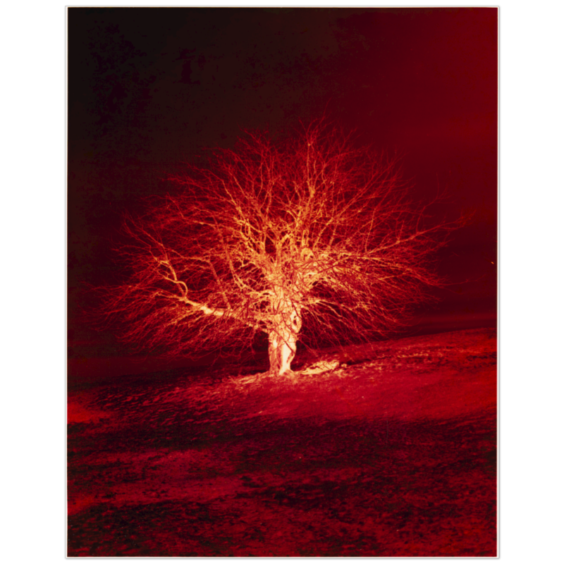 buynow b88e79d1 4685 4c89 b4ce f99e36204679.png buynow b88e79d1 4685 4c89 b4ce f99e36204679.png