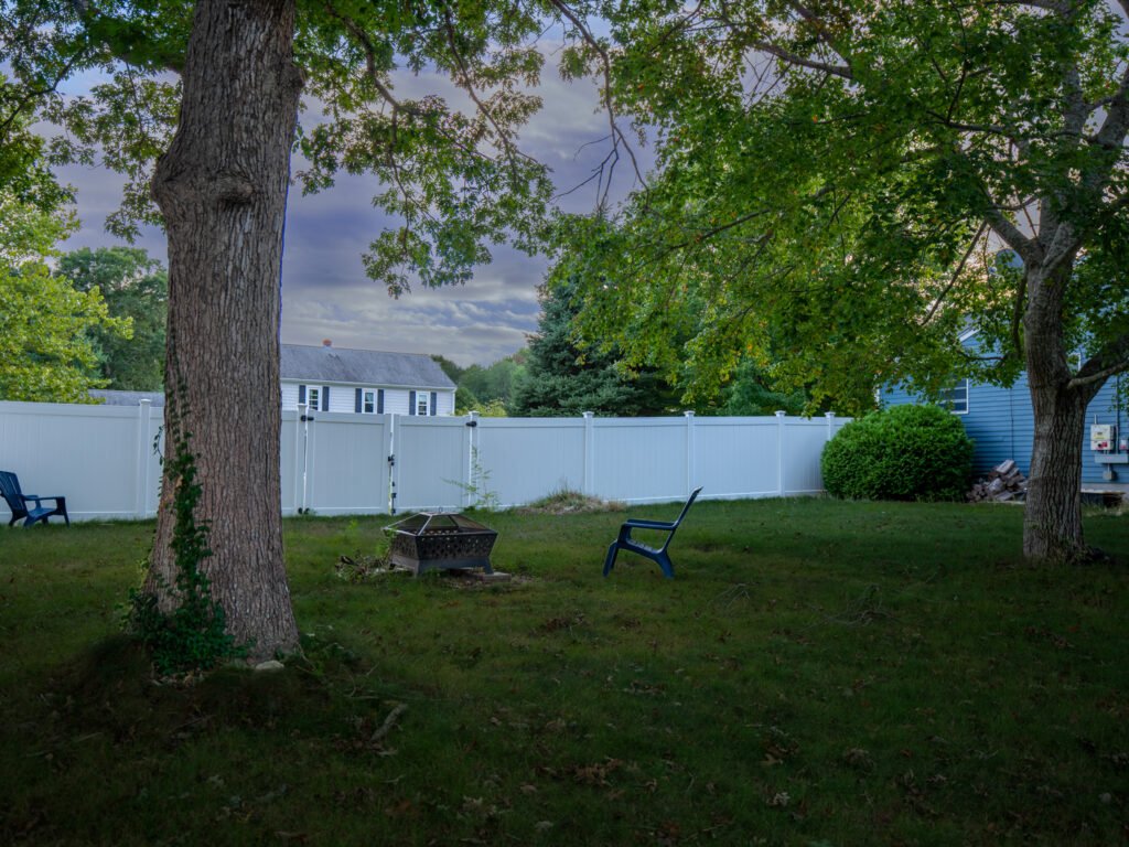 side back yard